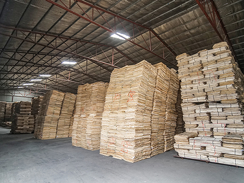 ����ģ����Ҫ��;��Щ���棿